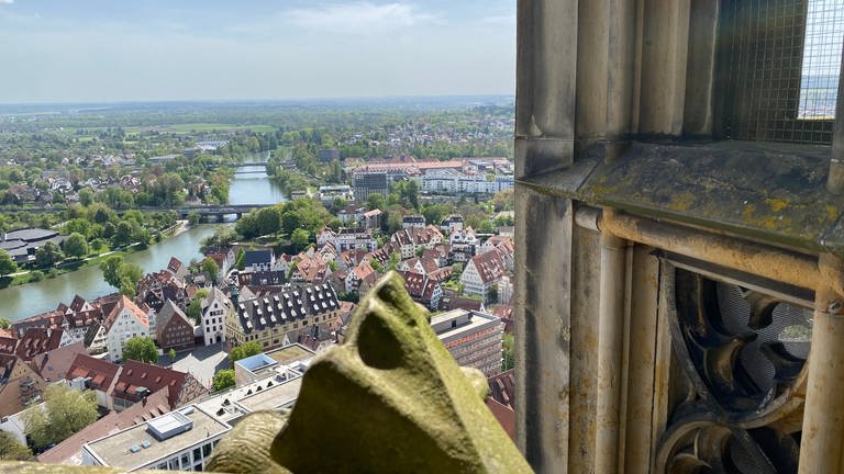 Blick vom Ulmer Münster