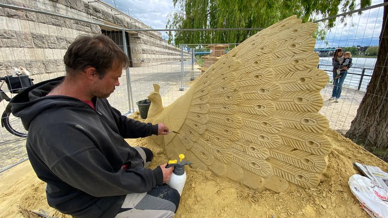 Einer der Künstler arbeitet an der Sandskulptur eines Pfaus, dem Neuwieder Wappentier. 
